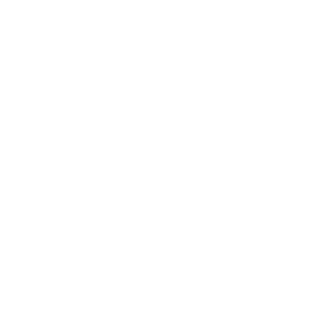 Bigwing
